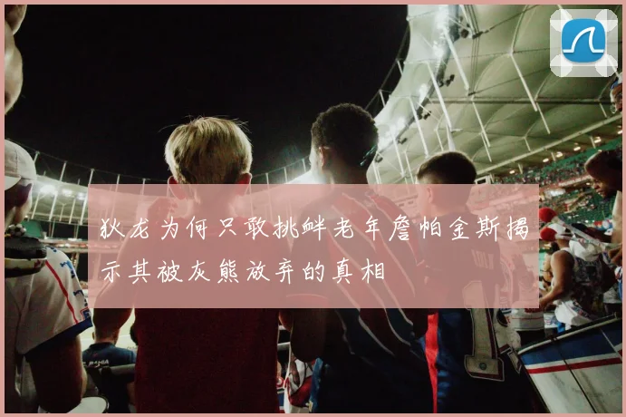狄龙为何只敢挑衅老年詹帕金斯揭示其被灰熊放弃的真相