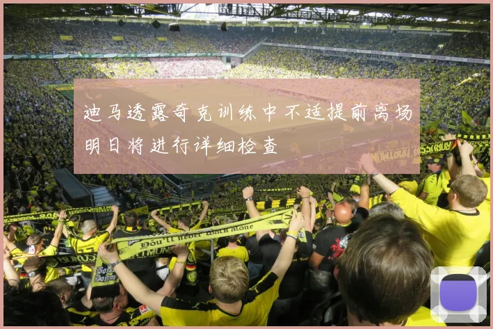 迪马透露奇克训练中不适提前离场明日将进行详细检查